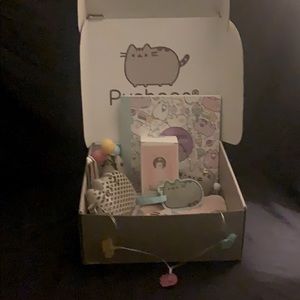 Pusheen Cat Gift Box